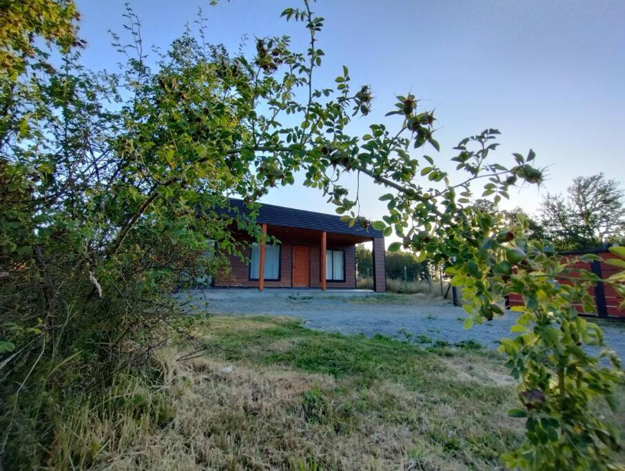Moderna Cabana En Villarrica Extérieur photo